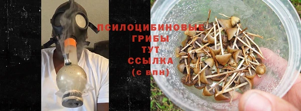 круглые Алзамай