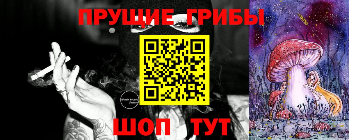 Псилоцибиновые грибы Cubensis  Вход с VPN  Тихвин 