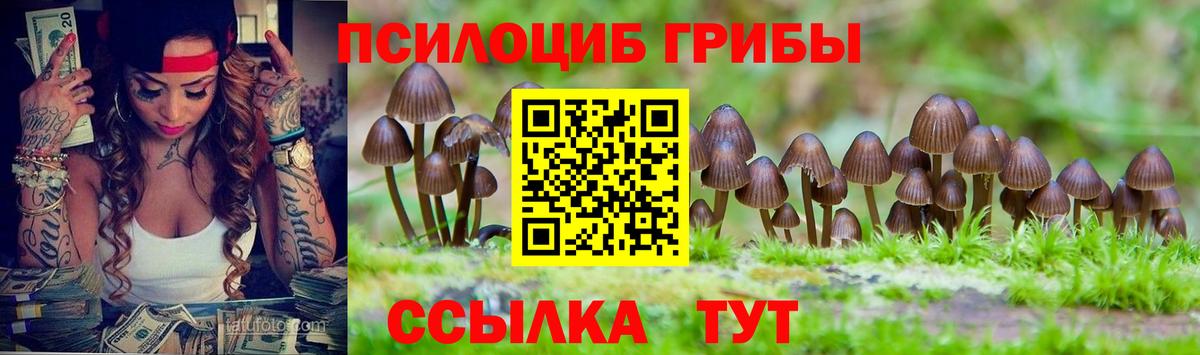 Галлюциногенные грибы MAGIC MUSHROOMS Тихвин